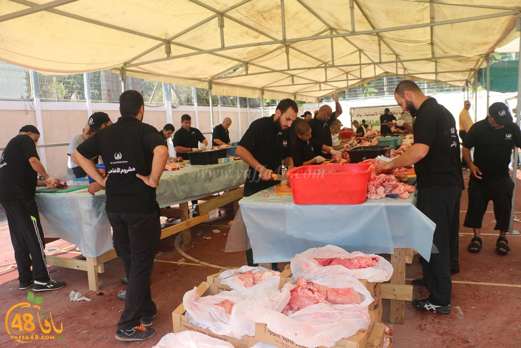 ada7y forthei (120).JPG